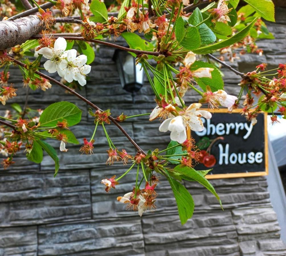 Cherry House Kazbegi Exterior foto