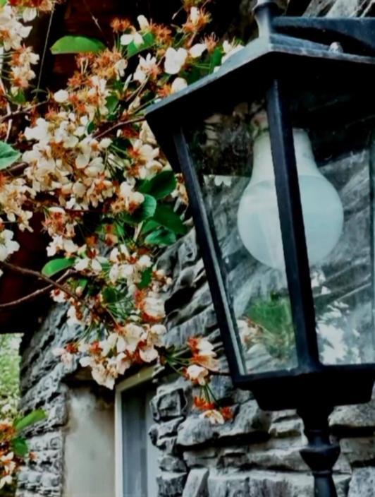 Cherry House Kazbegi Exterior foto